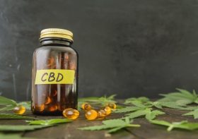 Experience a Natural Balance: Why CBD Capsule Buds are Essential for Your Wellness Arsenal